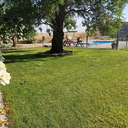 El Almendro Del Cura Villa Villarmayor  Eksteriør billede