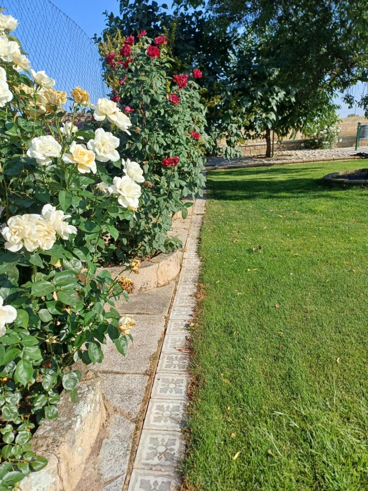 El Almendro Del Cura Villa Villarmayor  Eksteriør billede