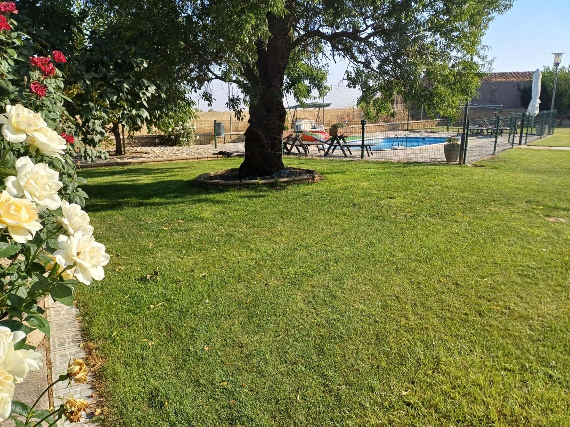 El Almendro Del Cura Villa Villarmayor  Eksteriør billede